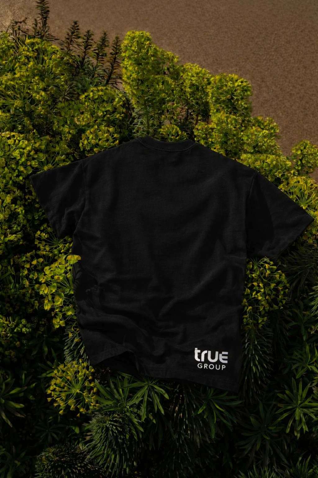 True Crew Tshirt